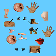 Body Parts - Middle & Asia