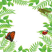 Buggy ‘World /></a> <a href=