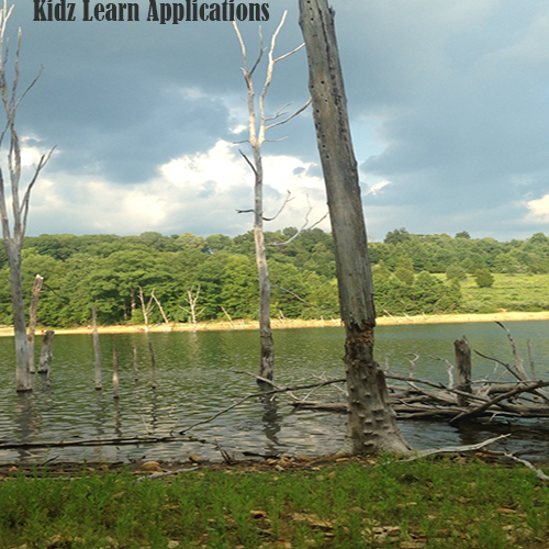 lakewithtrees - Kidz Learn Applications