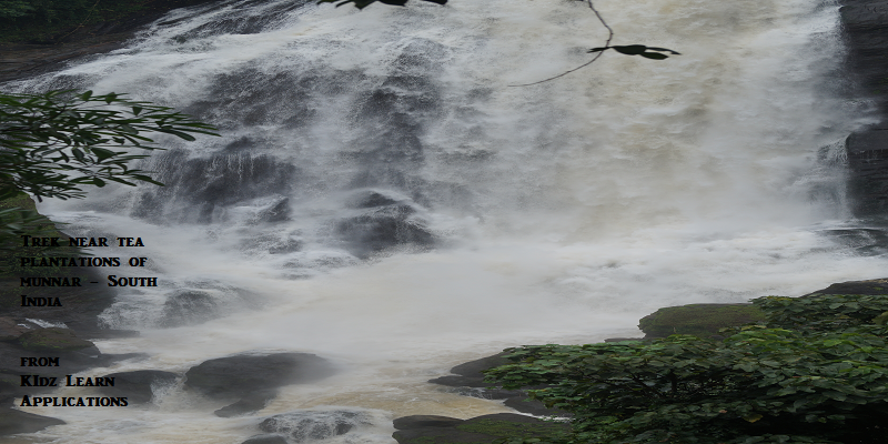 Water fall - Tea Plantations - Munnar